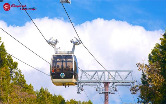 Tour Nhật Bản Mùa Thu 5N4Đ: Tokyo - Núi Phú Sĩ - Hakone
